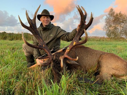 Red Deer Hunting
