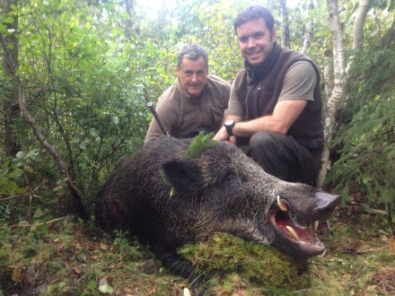 Wild Boar Hunting