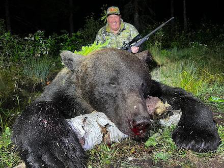 Brown Bear Hunting